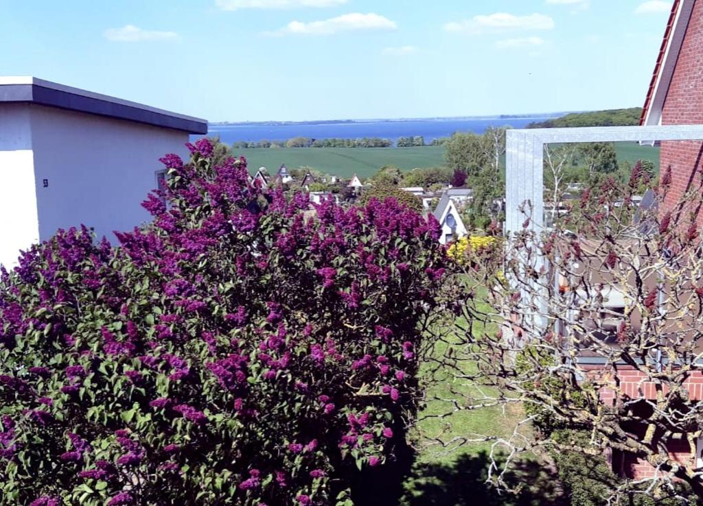 In Der Hansestadt Mit Blick Auf Ostsee Wismar
